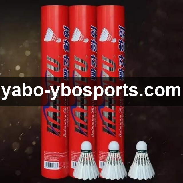 满冠体育独家测评：掌握这些技巧让你的游戏体验飞速提升